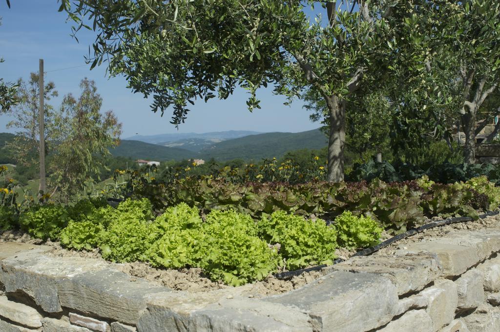 カーゾレ・デルザ Agriturismo Ertaヴィラ エクステリア 写真