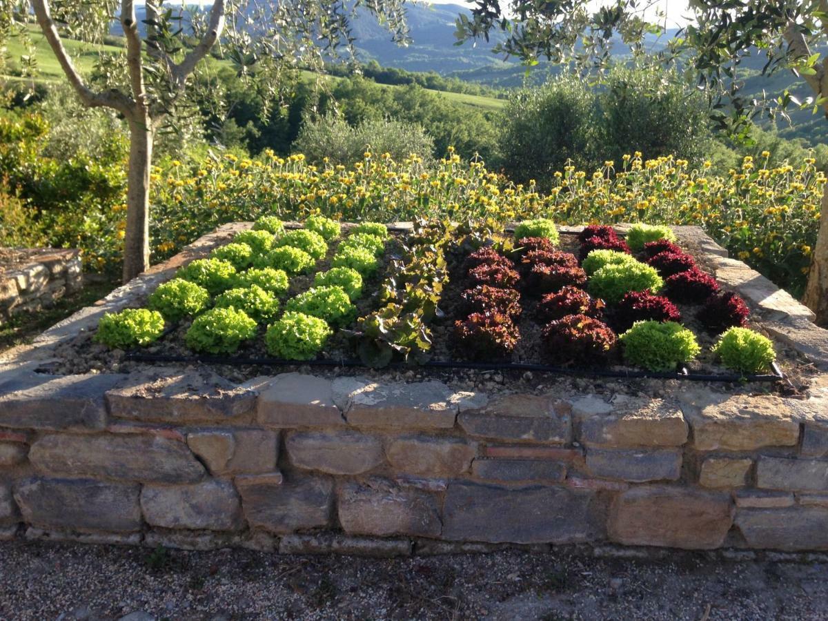 カーゾレ・デルザ Agriturismo Ertaヴィラ エクステリア 写真