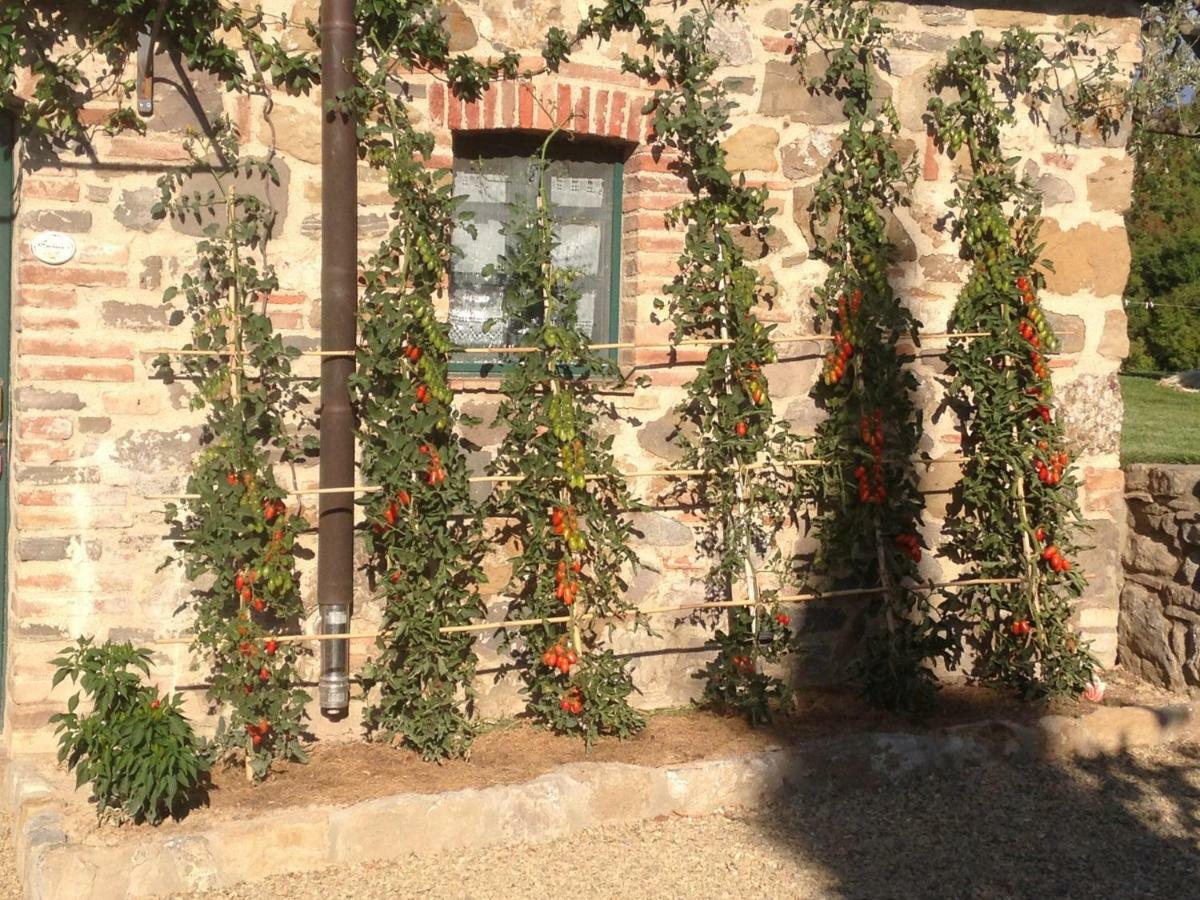 カーゾレ・デルザ Agriturismo Ertaヴィラ エクステリア 写真